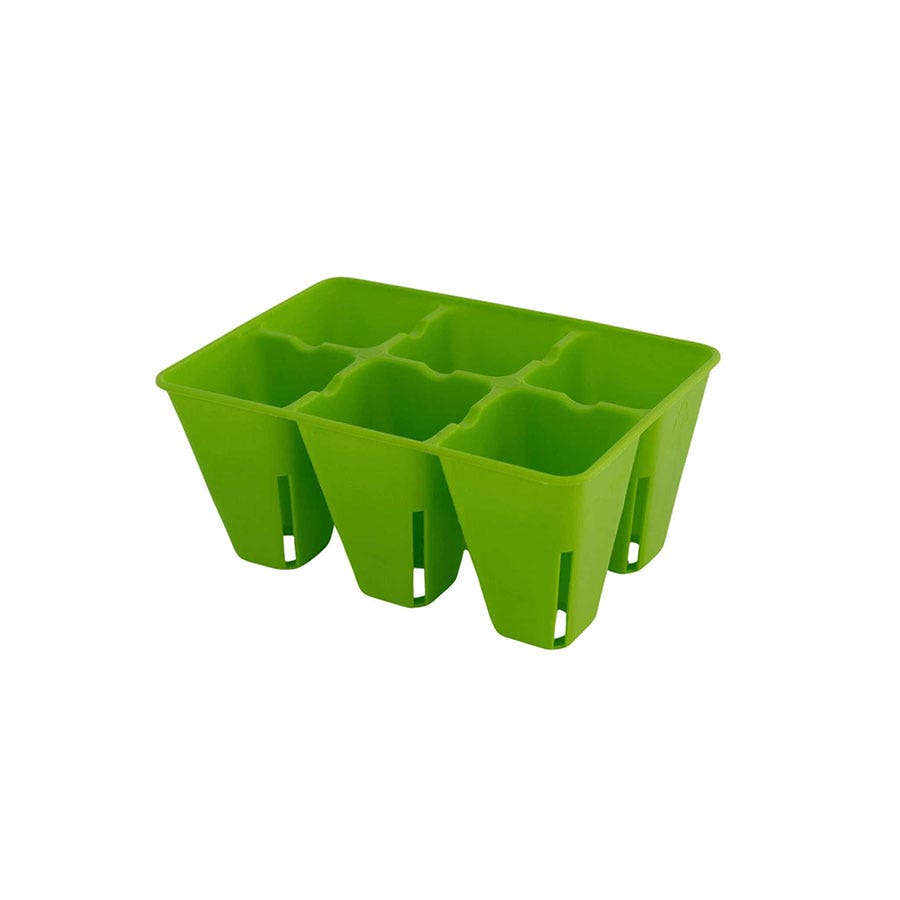 Plug Tray 6 Cell Inserts Multicolor - extra strength