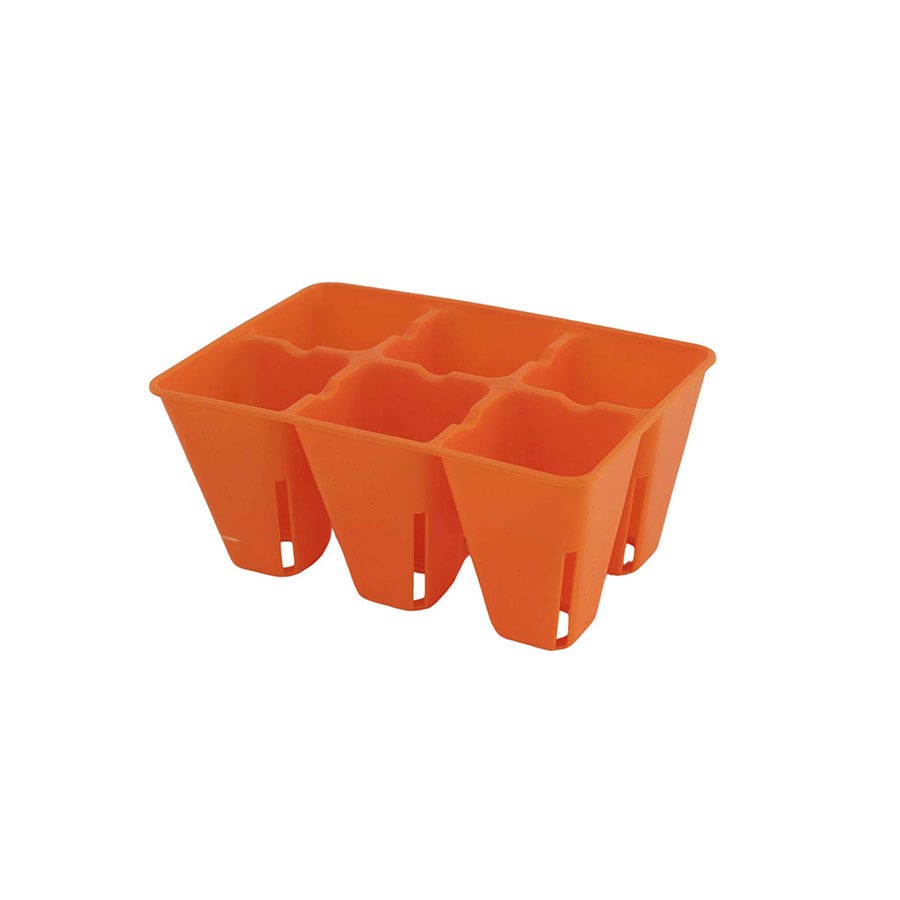 Plug Tray 6 Cell Inserts Multicolor - extra strength