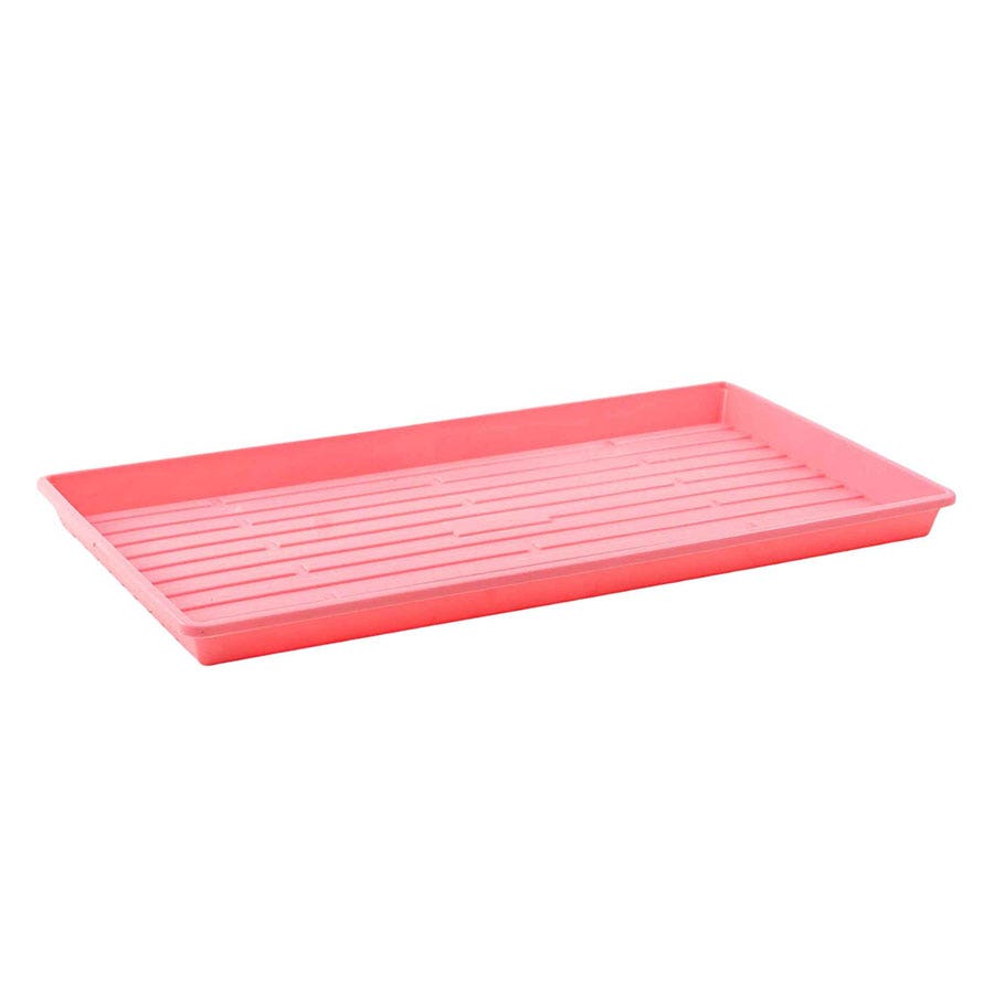 Microgreens 1020 Trays Multicolor - no holes, extra strength, shallow 1.25 inches deep