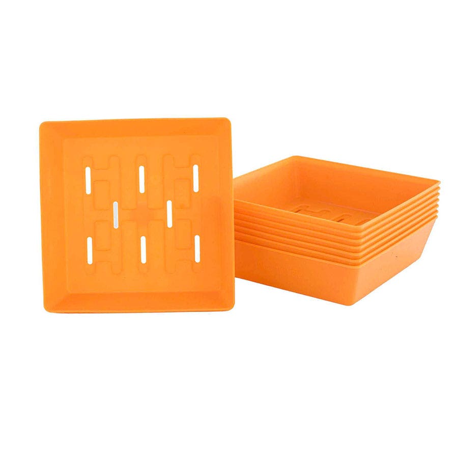 Microgreen 5x5 Trays Multicolor - holes, extra strength, shallow 1.25 inches deep