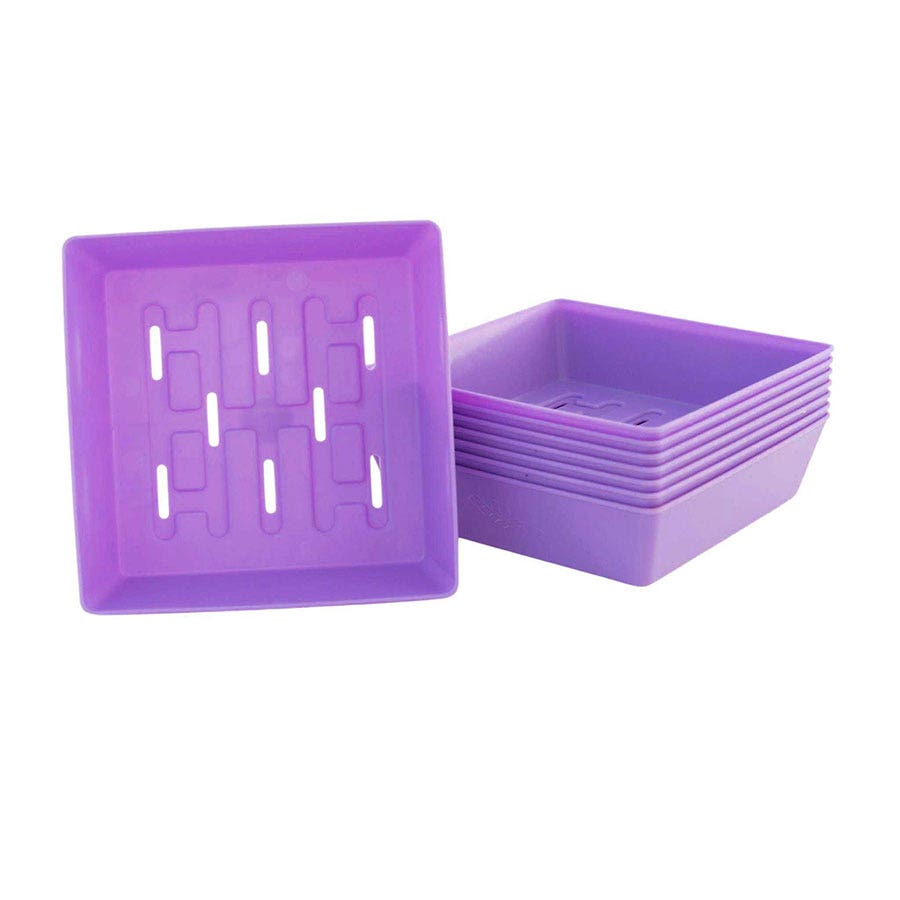 Microgreen 5x5 Trays Multicolor - holes, extra strength, shallow 1.25 inches deep