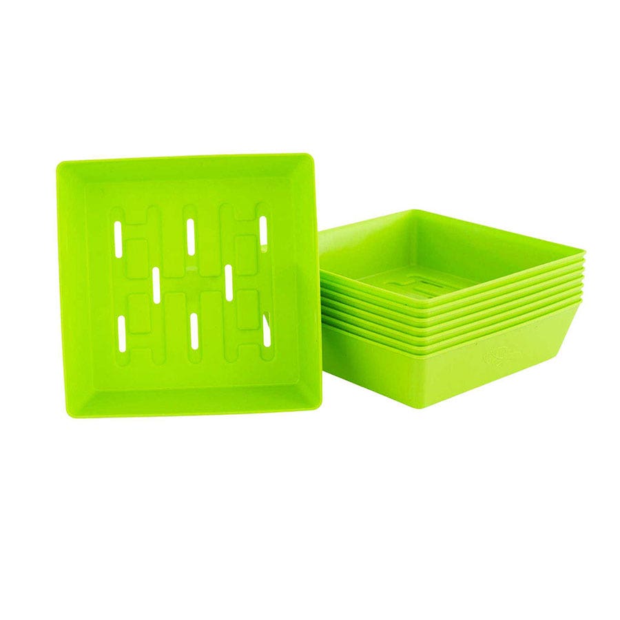 Microgreen 5x5 Trays Multicolor - holes, extra strength, shallow 1.25 inches deep