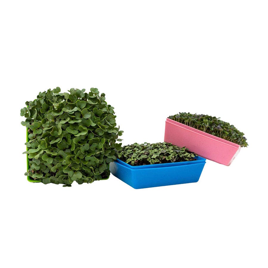 Hemp Grow Mats 5x5 inches