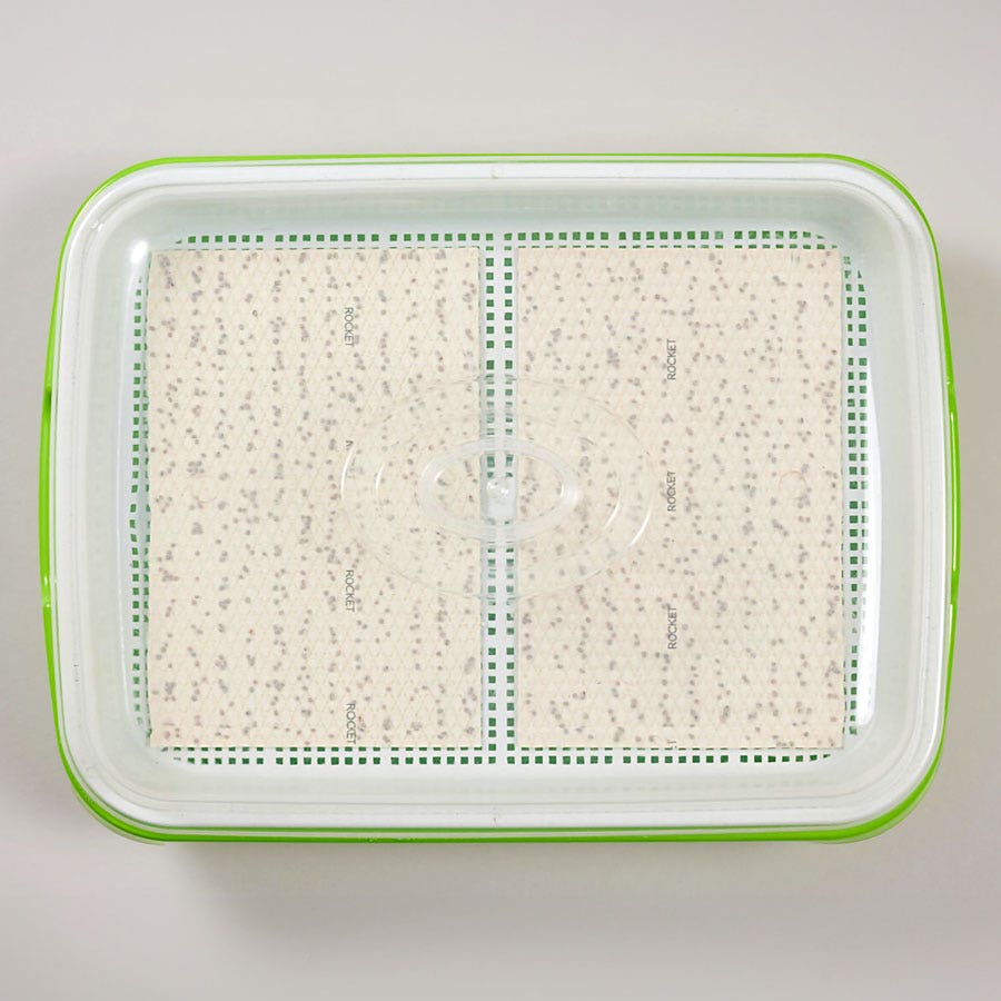 Sow Effortless Collection™ Microgreens Growing Set