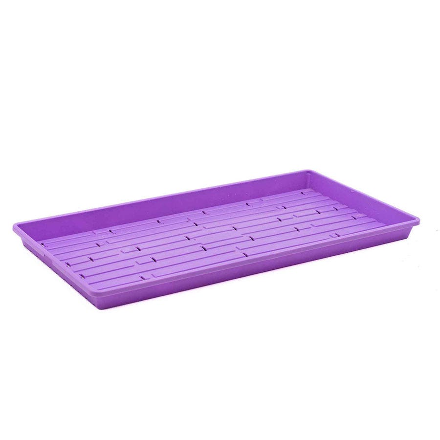 Microgreen 1020 Trays Multicolor - holes, extra strength, shallow 1.25 inches deep