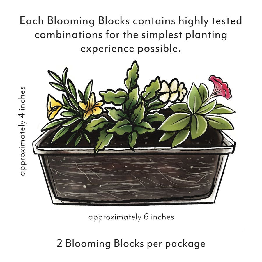 Blooming Block Perennial Mix Butterfly Alert