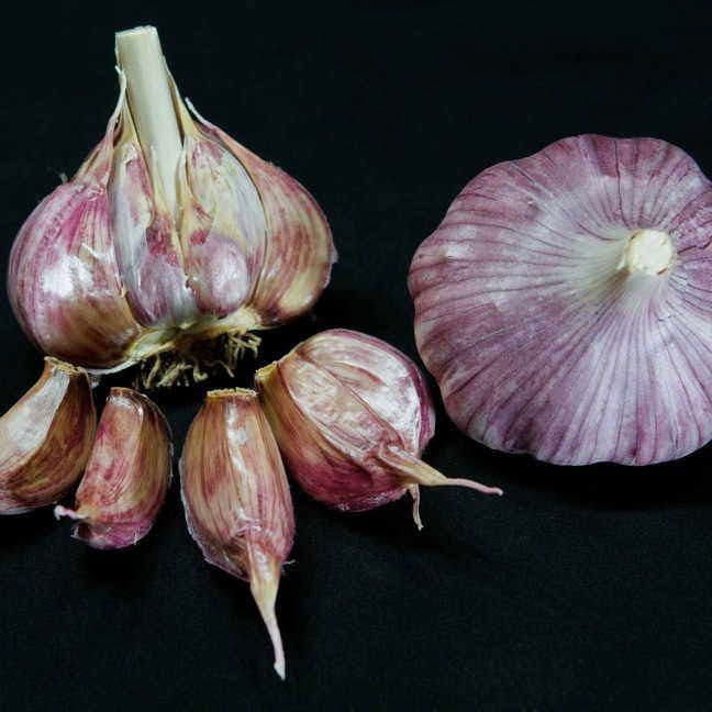 Garlic Chesnok Red Bulbs