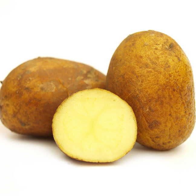 'German Butterball' Potato - 2 Pound Bag