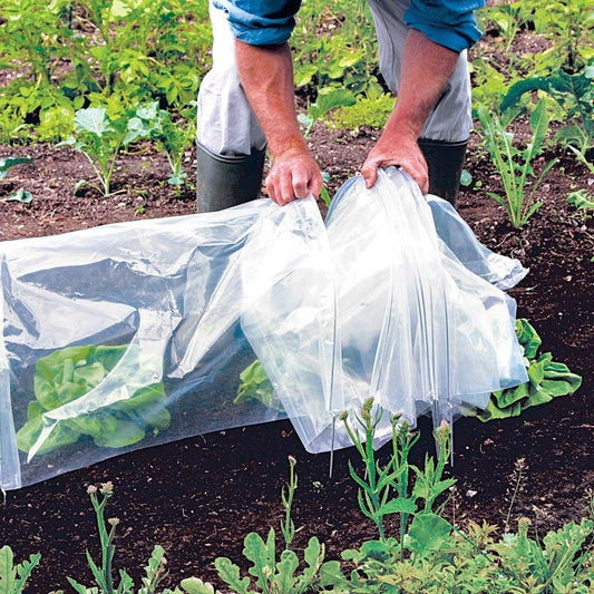 Standard Poly Easy Tunnel