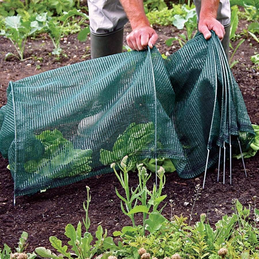 garden seed netting Standard Net Easy Tunnel