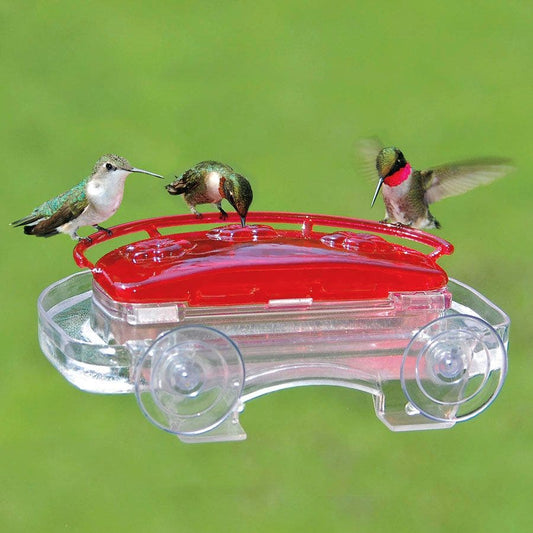Jewel Box Hummingbird Feeder