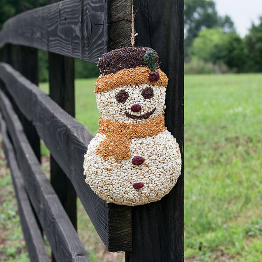 Frosty the Seedman Birdseed Treat