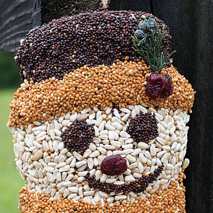 Frosty the Seedman Birdseed Treat
