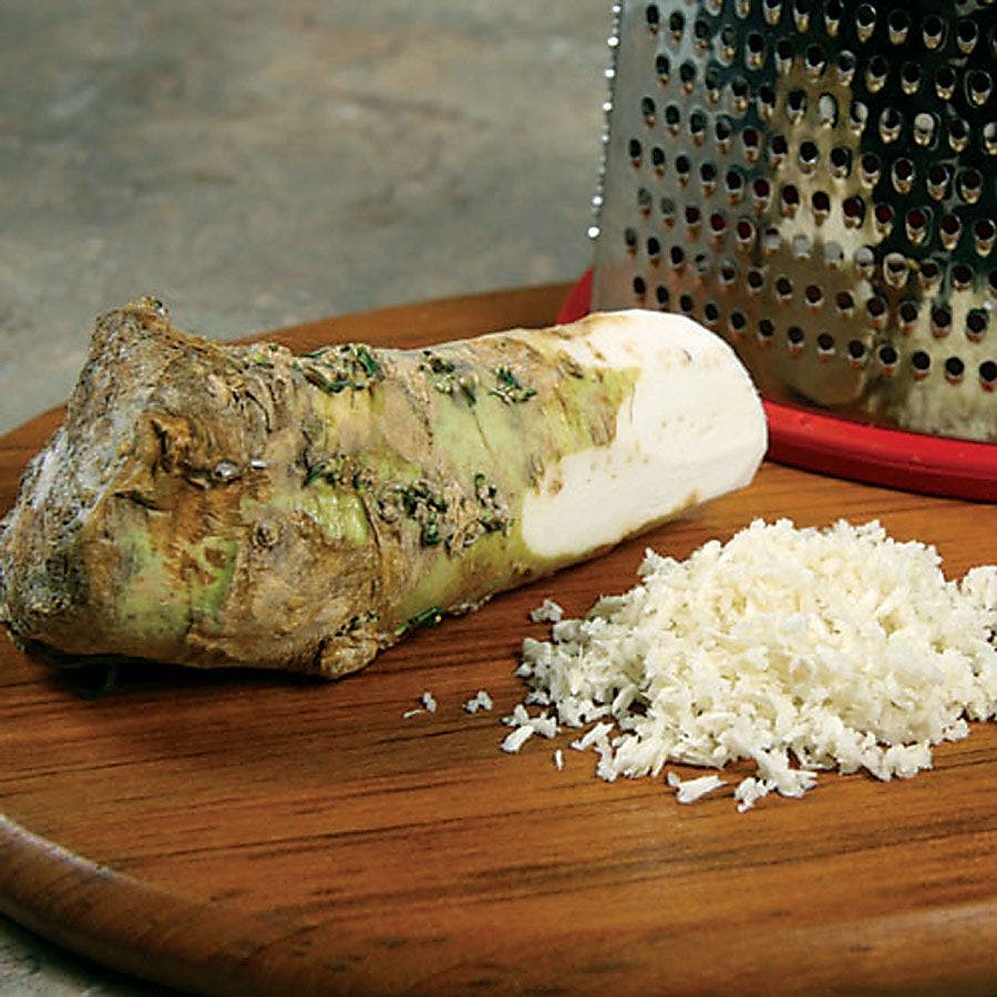 horseradish seeds for planting Horseradish Plant – Park Seed