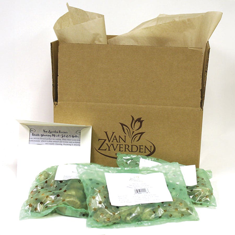 Dutch Bulb Garden in a Bag