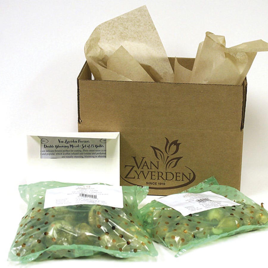 Deer Resistant Bulb Garden in a Bag