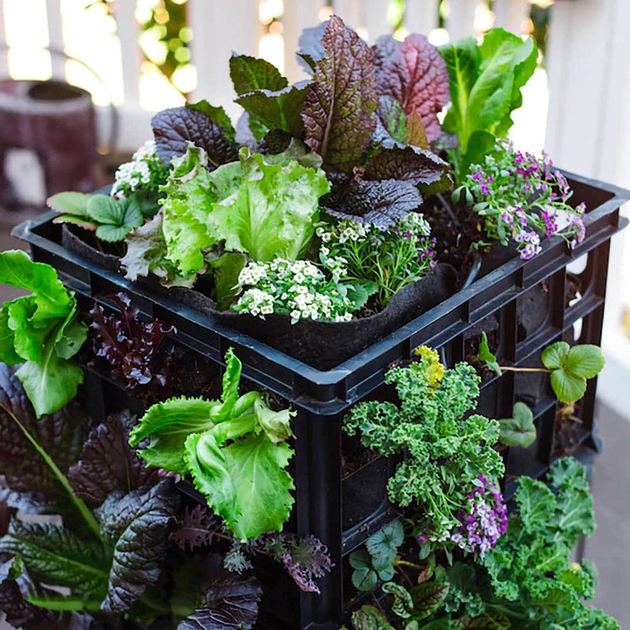 Smart Pot® Milk Crate Liner 12-inch Square Fabric Planter (Black)