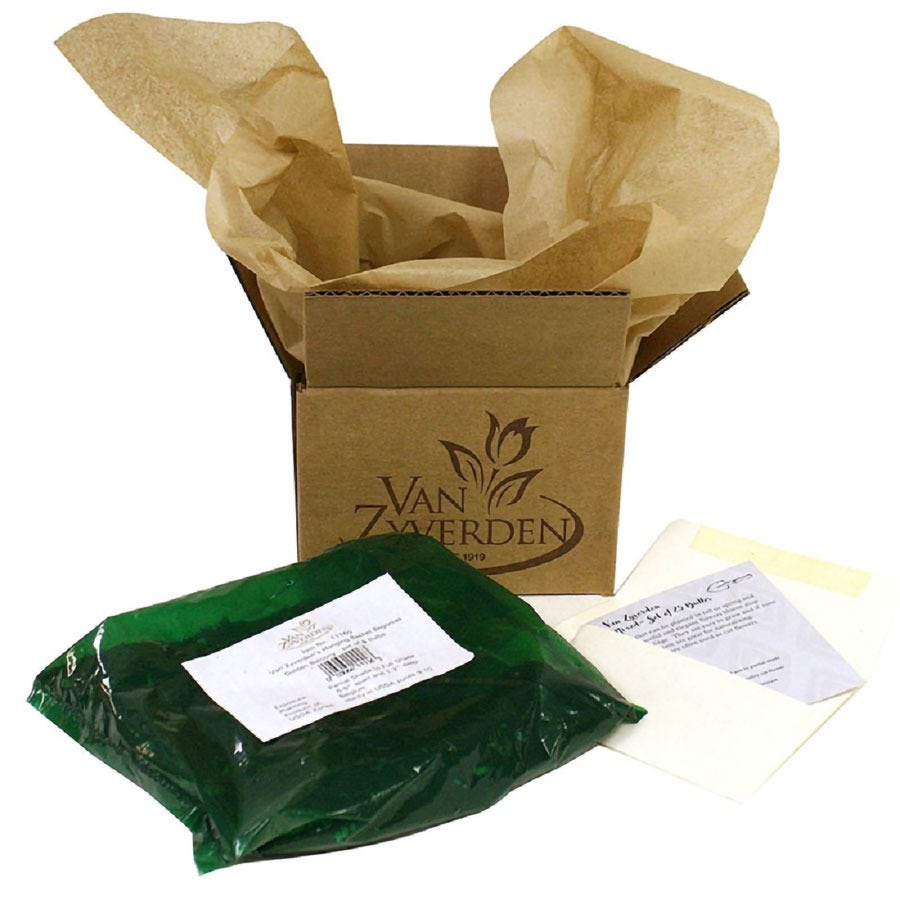 Monarda Mix Bee Balm