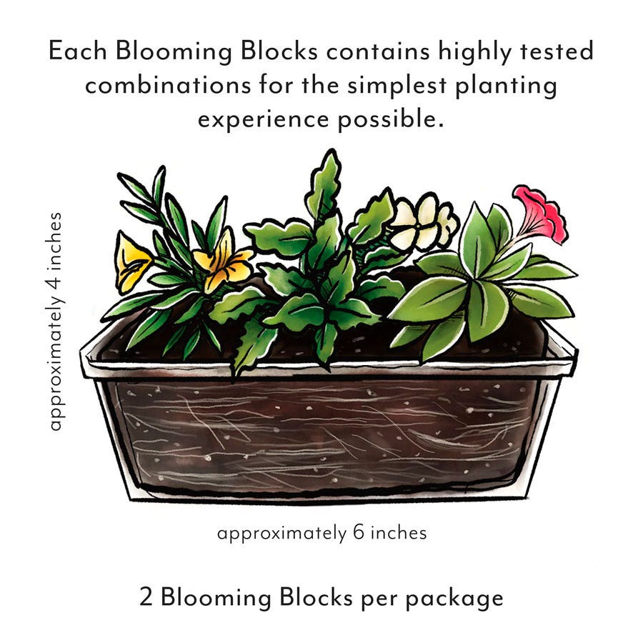 Blooming Block All that Glimmers MixMasters™ Double Impatiens Mix