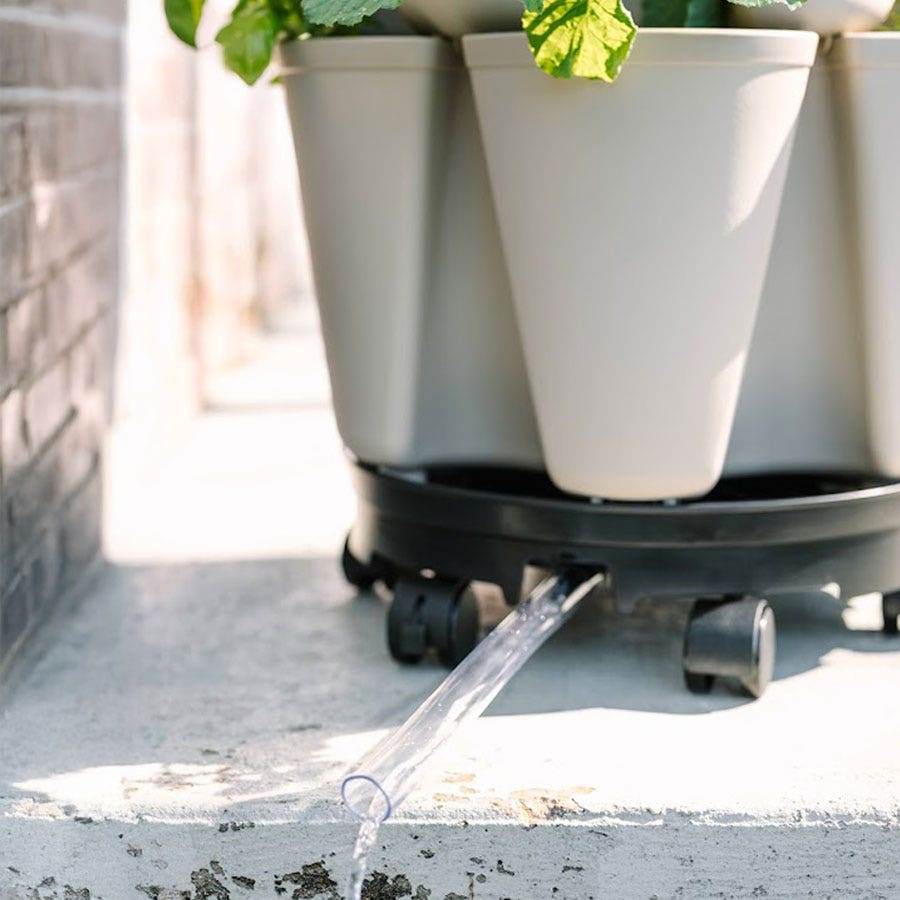 GreenStalk Gray Watering Discs