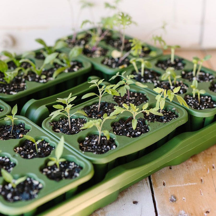 oneshot plant seed GreenStalk Seed Starting Kit – Park Seed
