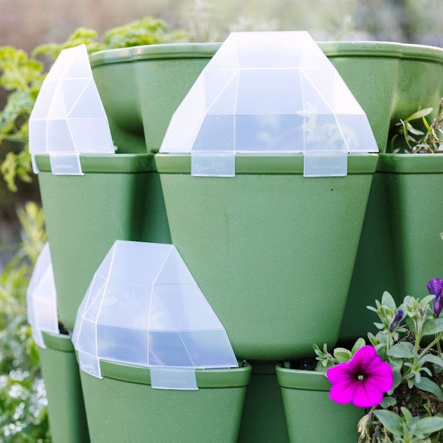where to buy house plant seeds GreenStalk Garden Seed House