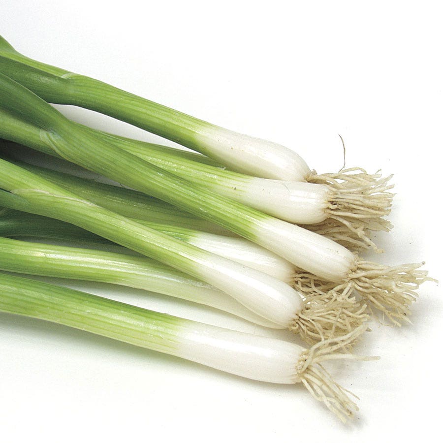 plant onion seeds Damast Bunching Onion Seed Tape – Park Seed