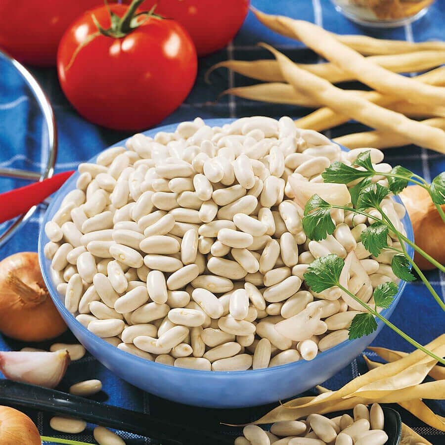 garden beans seeds Cannellini Garden Bean Seeds
