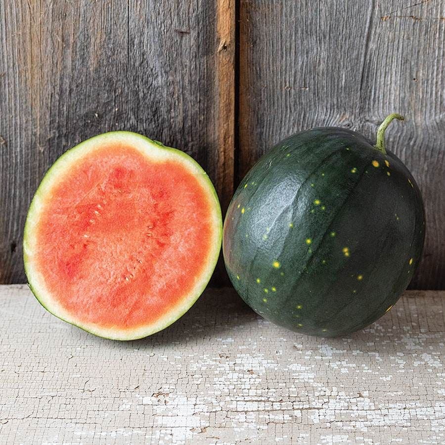 Century Star F1 Watermelon Seeds