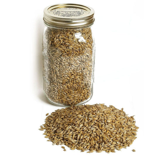 Quest Organic Barley Cover Crop Seeds