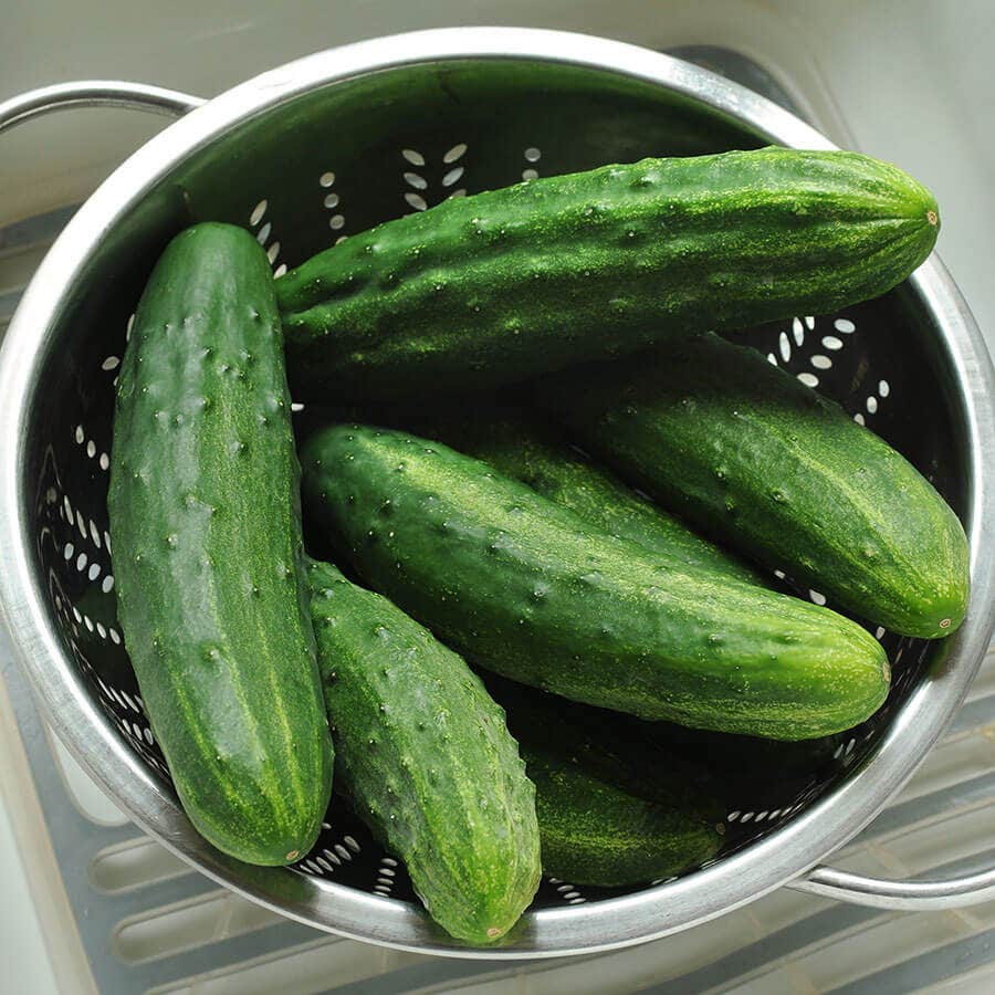 Patio Snacker Cucumber Seeds