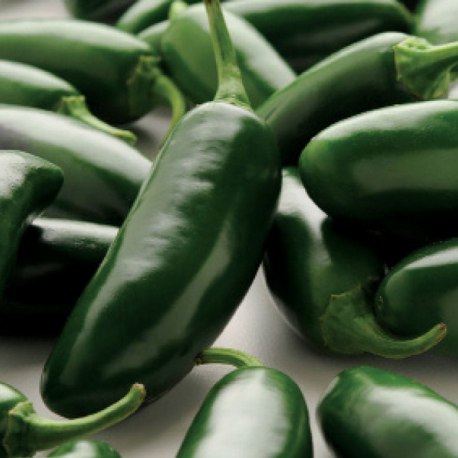 La Bomba II Jalapeño Pepper Seeds