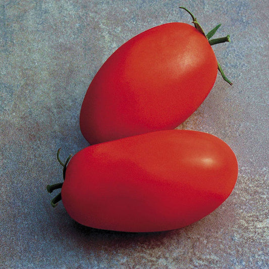 Supremo Hybrid Tomato Seeds