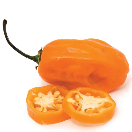 Sweet Habanero Organic Pepper Seeds