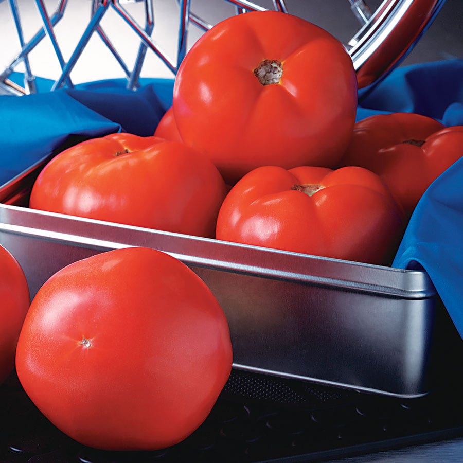 Rocky Top Tomato Seeds