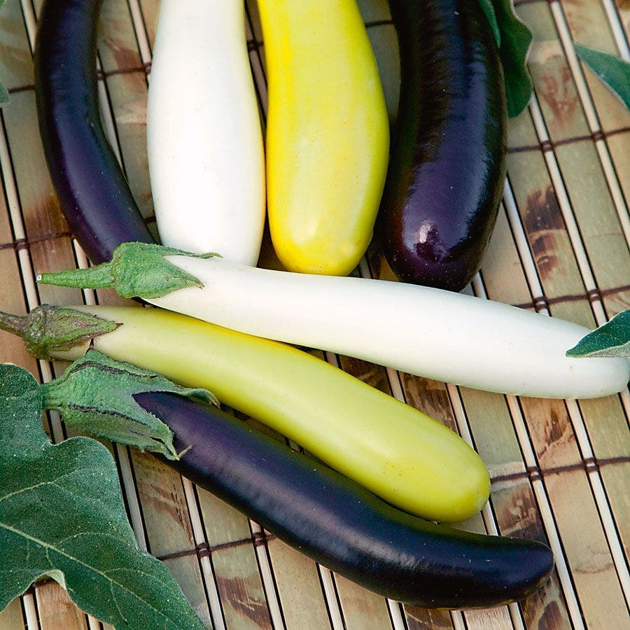 Fingerling Blend Eggplant Seeds
