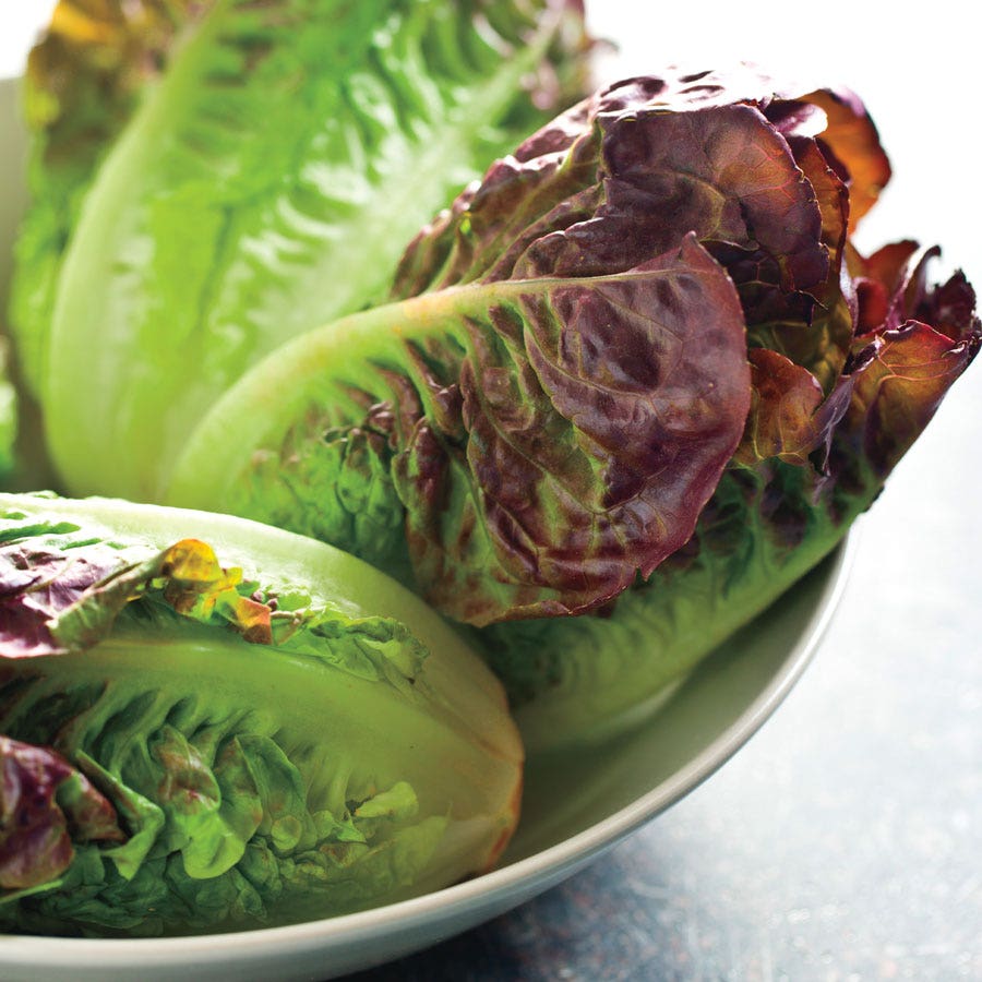 plant romaine lettuce seeds Mini Romaine Blend Lettuce Seeds – Park Seed