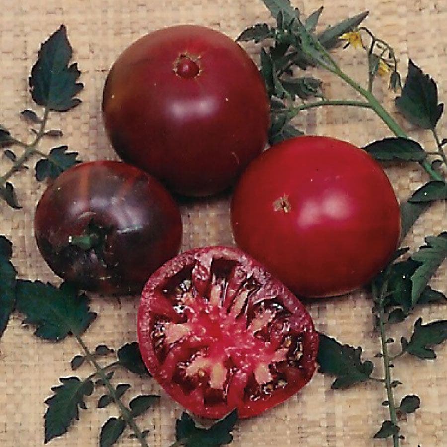 garden gem tomato seeds for sale Black Krim Tomato Seeds – Park Seed