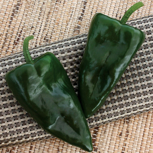 Trident Hybrid Pepper Seeds