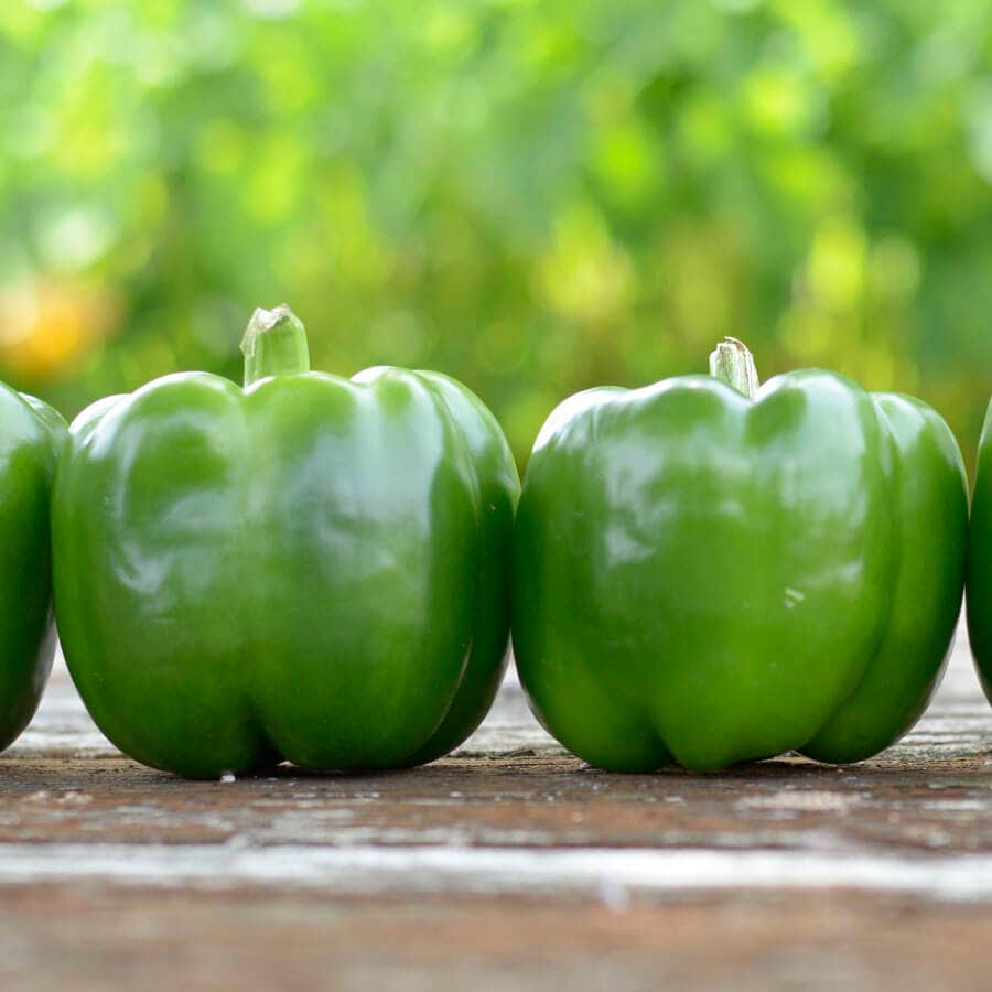 Park's Whopper II Hybrid Bell Pepper Seeds