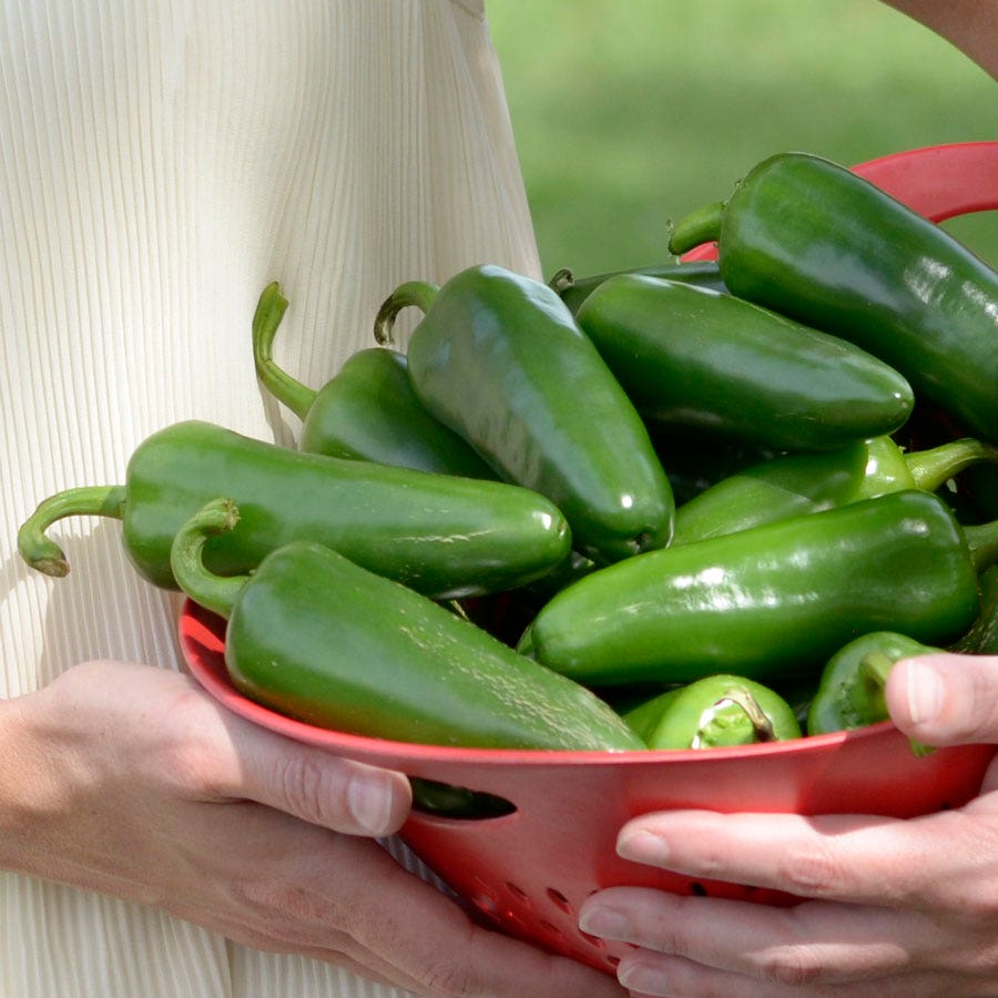Park's Whopper Jalapeño Pepper Seeds