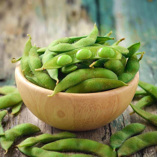 Chiba Green Organic Edamame Soybean Seeds
