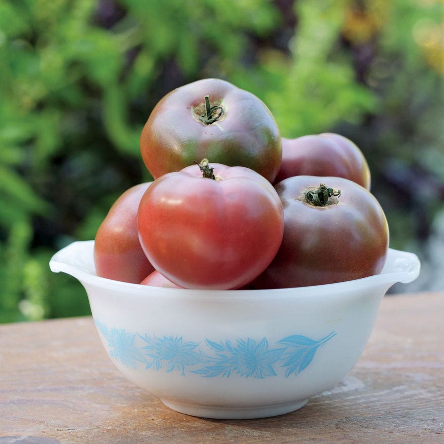 Purple Boy Purple Tomato Seeds - Hybrid