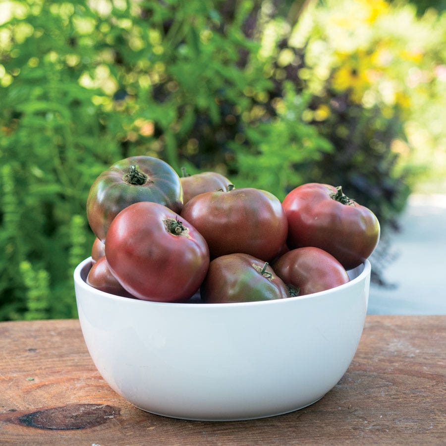 Purple Boy Purple Tomato Seeds - Hybrid