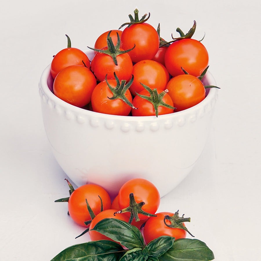 park seed tomato plants Sun Gold Tomato Seeds