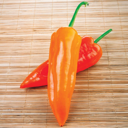 Oranos Organic Pepper Seeds