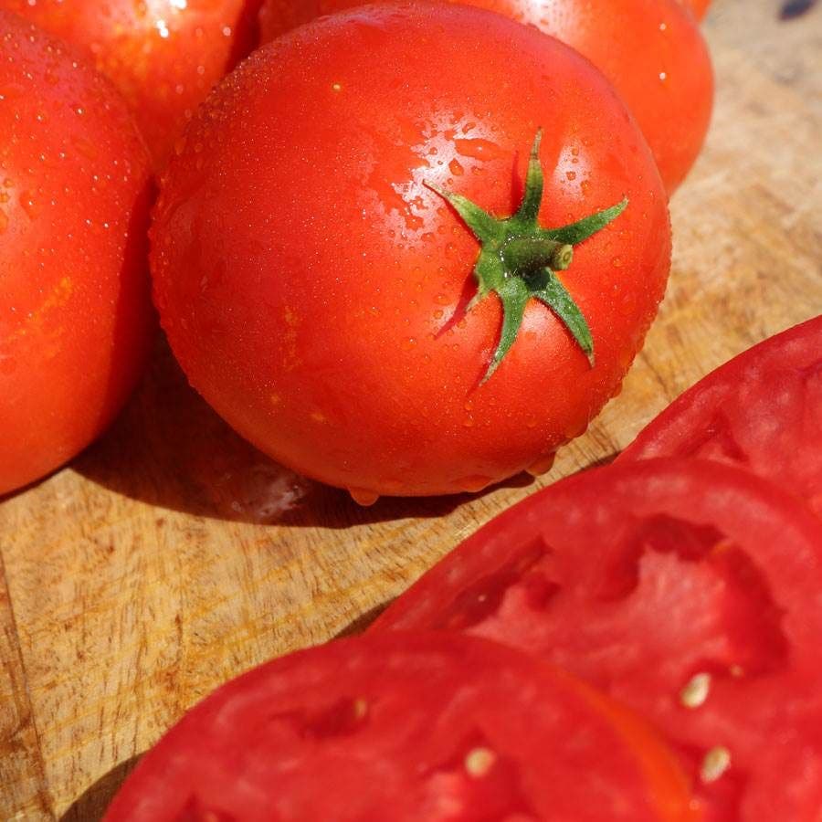 seedless tomato plants seeds Big Beef Plus Big Tomato Seeds