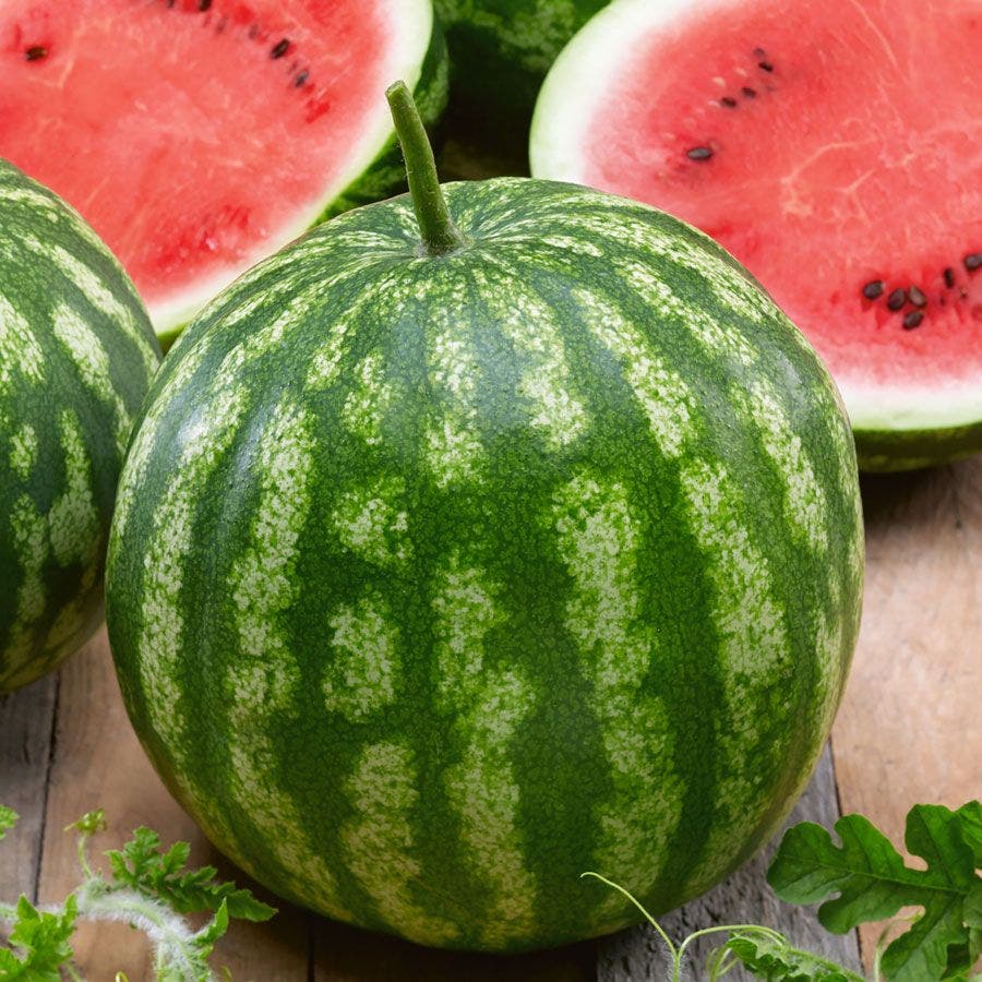 Cal Sweet Bush Watermelon Seeds