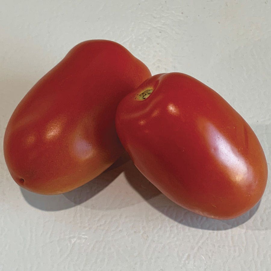 Zenzei Tomato Seeds