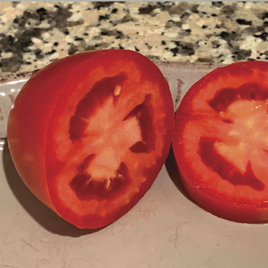 Zenzei Tomato Seeds